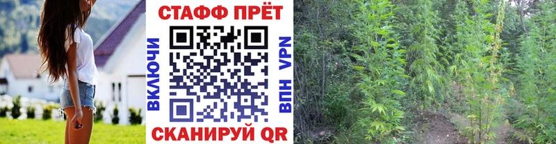 Где продают наркотики Невьянск Каннабис  Alpha PVP  Псилоцибиновые грибы  МЕФ  ГАШИШ 